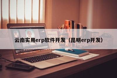 云南实用erp软件开发(昆明erp开发)